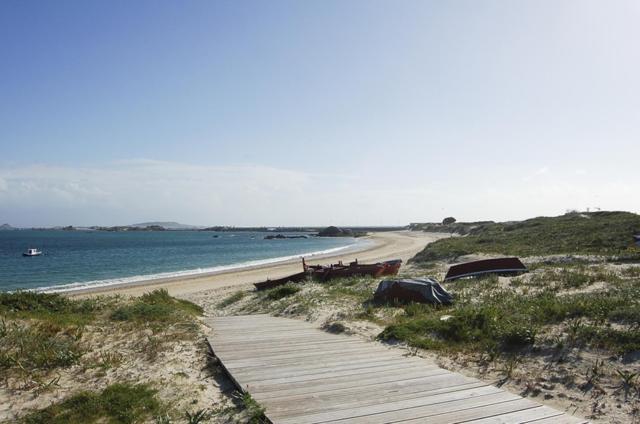 Carola L, "Apartamento De Lujo A 100M Playa Catia" Ribeira Eksteriør bilde