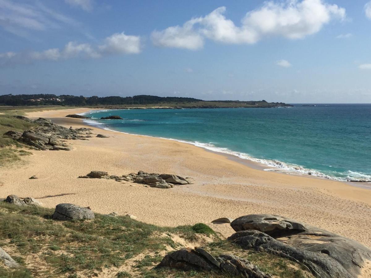 Carola L, "Apartamento De Lujo A 100M Playa Catia" Ribeira Eksteriør bilde